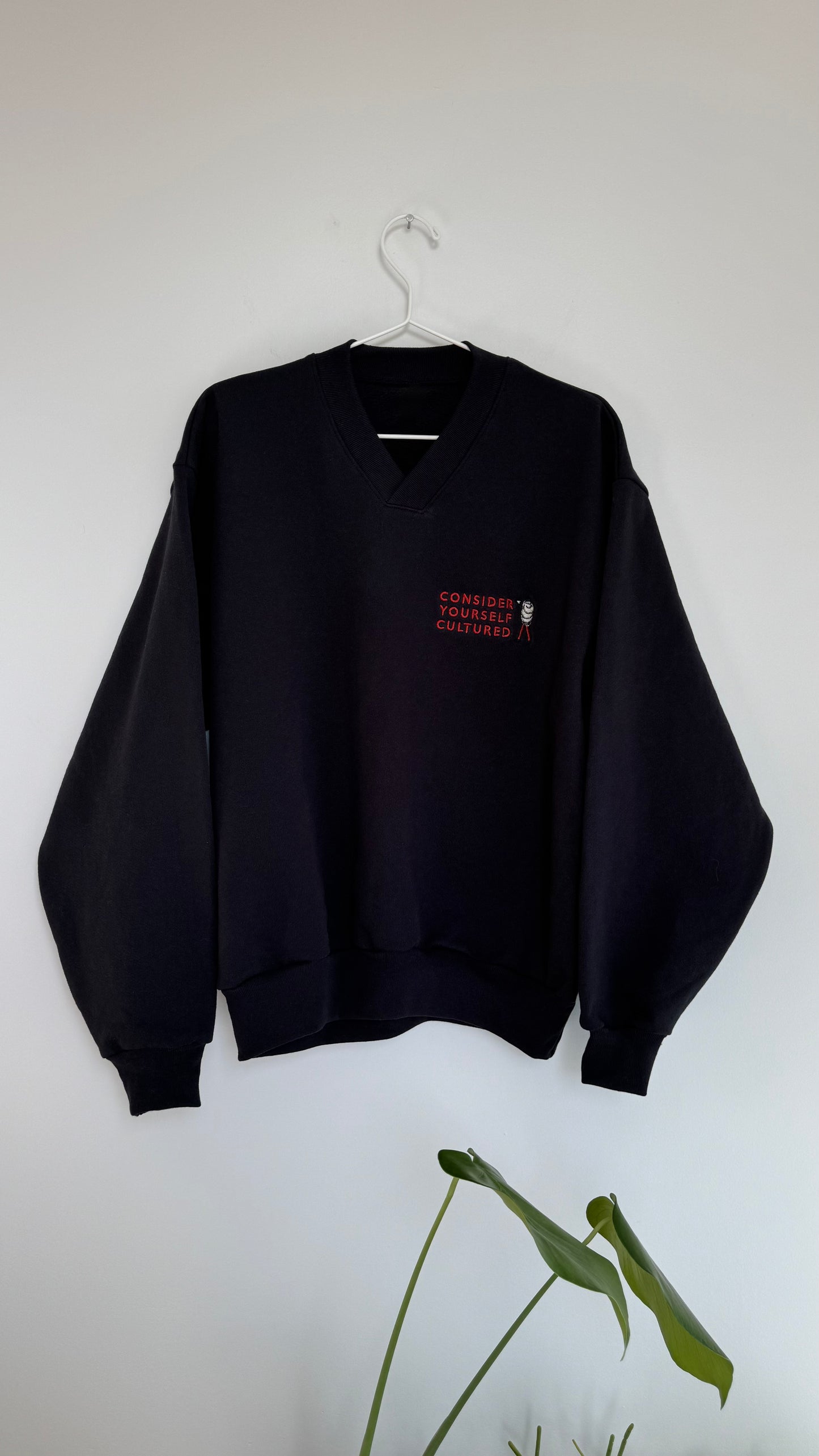 Consider Yourself Cultured V-Neck Sweatshirt