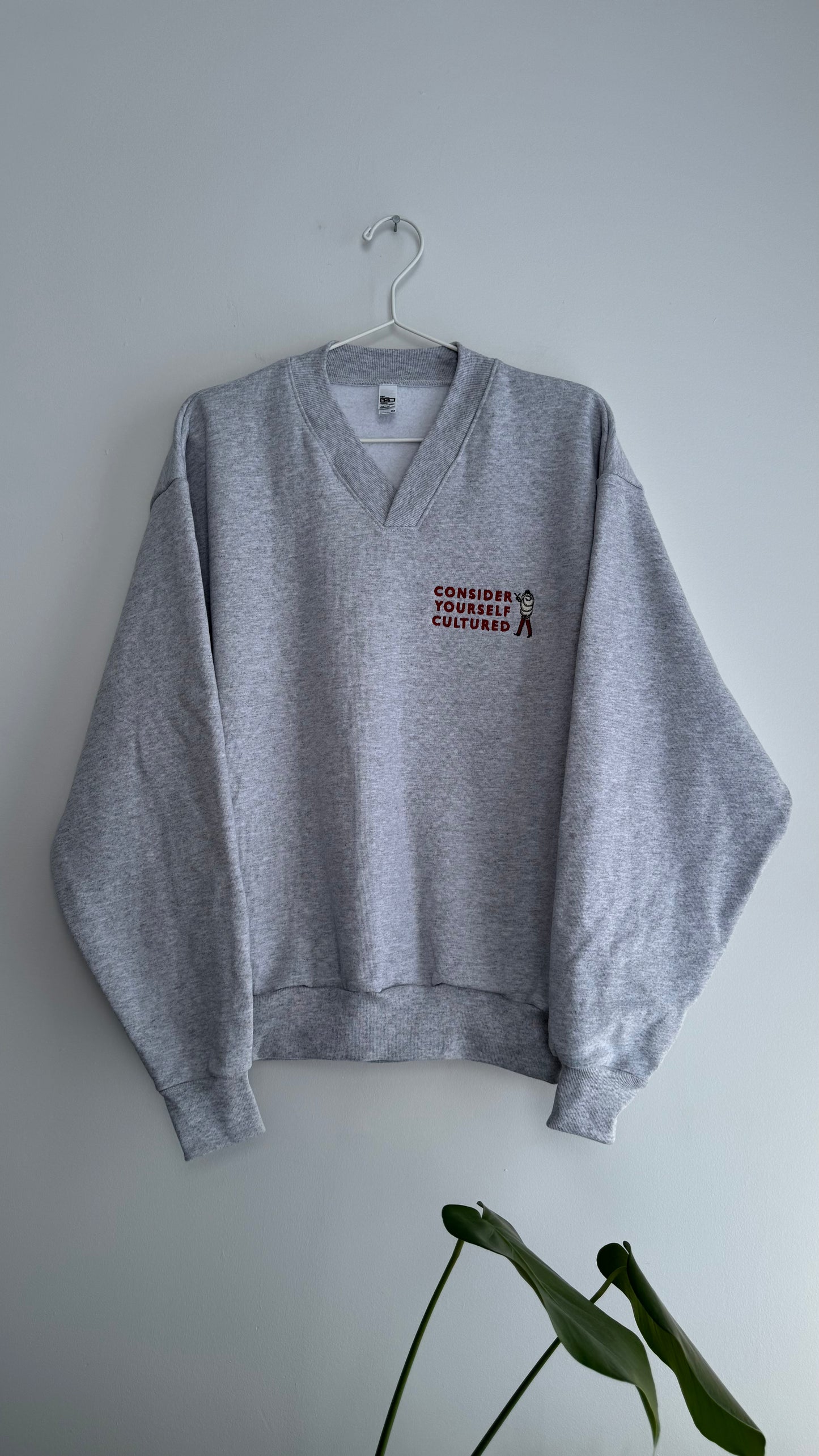 Consider Yourself Cultured V-Neck Sweatshirt